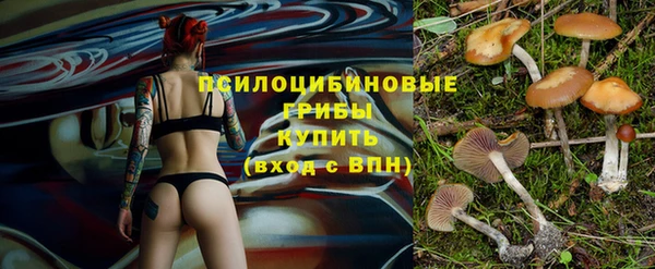 синтетический гашиш Алексин