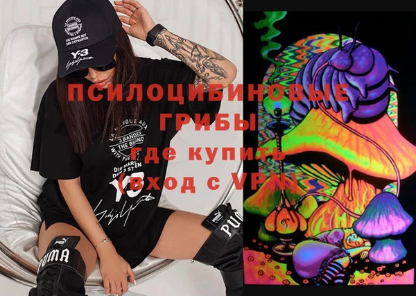 шишки Алексеевка