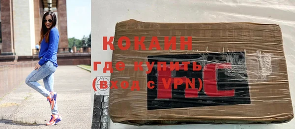 мдпв Ладушкин