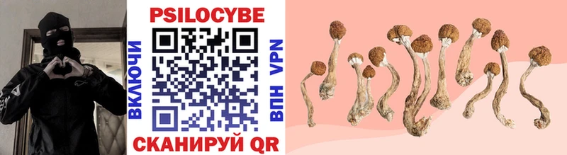 купить  цена  Бердск  Галлюциногенные грибы Magic Shrooms 