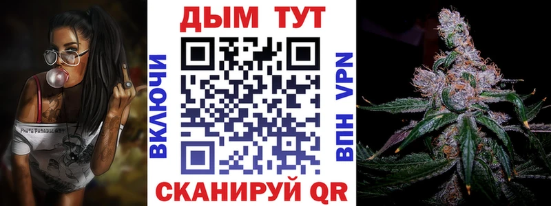 Марихуана план  Бердск 